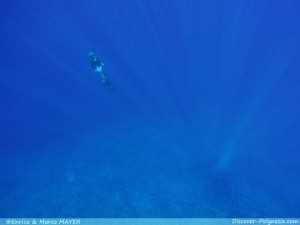 Crociera a Fakarava-Tuamotu