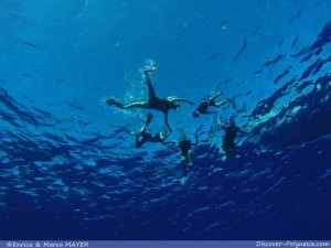 Crociera a Fakarava-Tuamotu