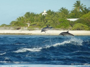 Rangiroa Polinesia   