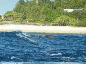 Rangiroa-Polinesia21 